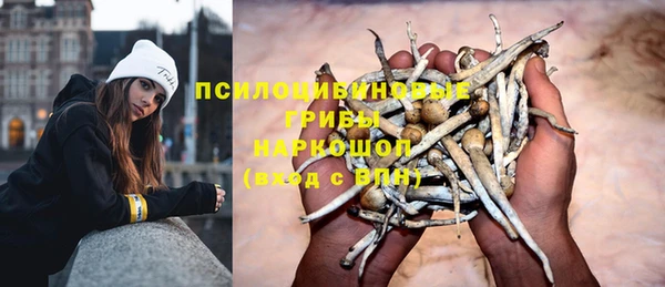 скорость Зеленодольск