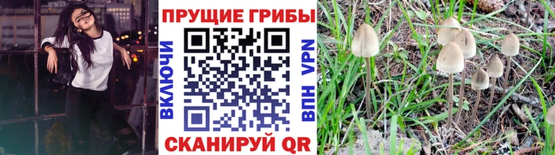 Псилоцибиновые грибы ЛСД  Купить где  Касли 